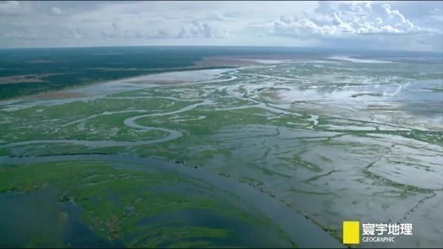 非洲湿地保护项目对肺鱼的影响，湿地保护如何影响肺鱼食物链 观赏鱼市场（混养鱼） 第1张