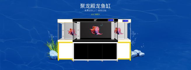 龙鱼商城网站登录，龙鱼商城app使用教程：龙鱼商城app使用教程 龙鱼百科 第4张