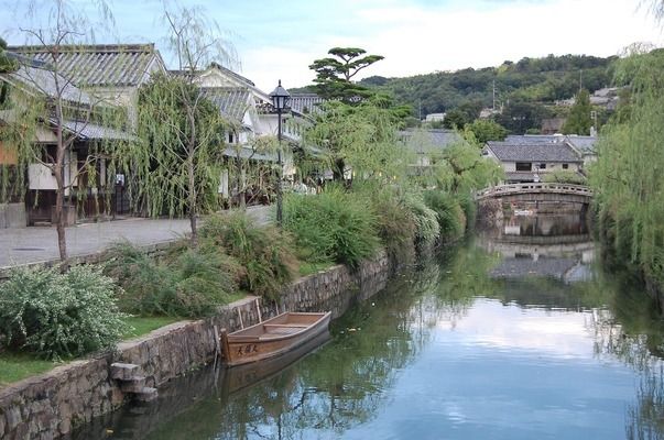 沈阳红龙鱼，沈阳红龙鱼市场价格波动沈阳红龙鱼市场价格波动