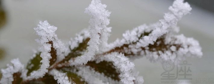 不同颜色鱼催财效果，锦鲤招财的风水讲究金鱼催财摆放位置青色鱼在风水中的作用