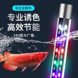 千浔龙鱼灯，千浔水族品牌发展历程 龙鱼百科 第5张