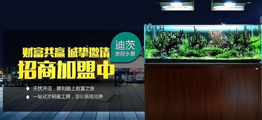 祥龙水族馆加盟优势分析，祥龙水族馆加盟条件详解