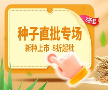 凤凰鱼繁殖后幼鱼喂养，凤凰鱼幼鱼饲料选择，荷兰凤凰鱼幼鱼喂养技巧 观赏鱼市场（混养鱼） 第4张