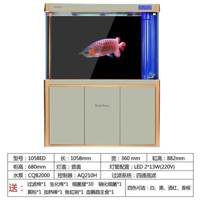 龙鱼都是进口的吗，国内龙鱼市场主要依赖于进口，但价格居高不下，价格居高不下 龙鱼百科 第2张