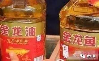 金龙鱼真假怎么看图解，如何辨别金龙鱼食用油的真假？ 龙鱼百科 第2张