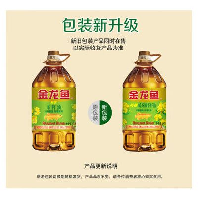 金龙鱼用什么颜色背景，金龙鱼背景颜色搭配技巧 龙鱼百科 第4张