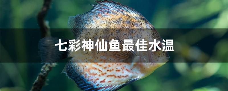 玫瑰银版鱼最佳生长水温，关于“玫瑰银版鱼最佳生长水温”的查询当前无法直接提供具体信息