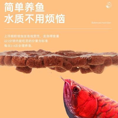 银龙鱼饲养水质要求，银龙鱼饲养水质要求的详细信息：银龙鱼混养搭配指南 观赏鱼市场（混养鱼） 第2张