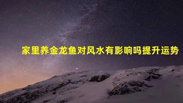 金龙鱼如何影响个人运势，金龙鱼在风水学中具有多种积极影响个人运势的详细分析 观赏鱼市场（混养鱼） 第5张