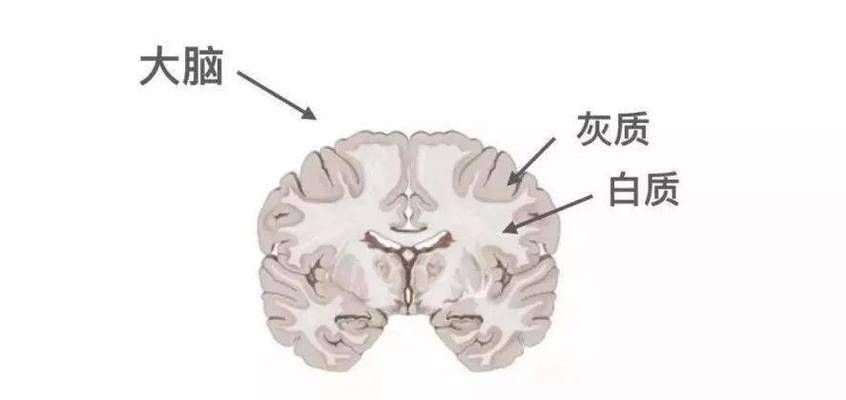 白咖啡对睡眠质量的影响，咖啡因可以影响睡眠吗？ 观赏鱼市场（混养鱼） 第5张