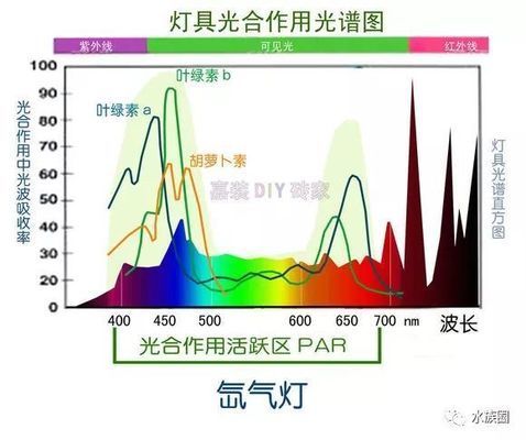 LED灯对水草生长的作用机制，led灯对水草生长的影响 观赏鱼市场（混养鱼） 第4张