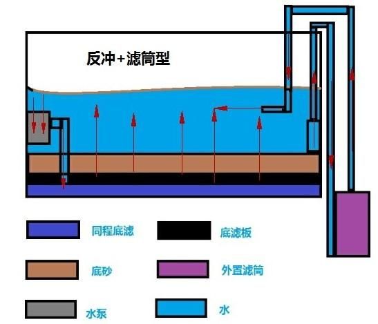 底滤与外置滤筒对比，底滤与外置滤筒的区别 观赏鱼市场（混养鱼） 第4张