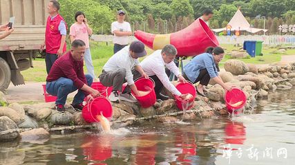 德国三色锦鲤的生活习性，德国三色锦鲤最佳饲养水温,如何防治德国三色锦鲤常见病 观赏鱼市场（混养鱼） 第4张