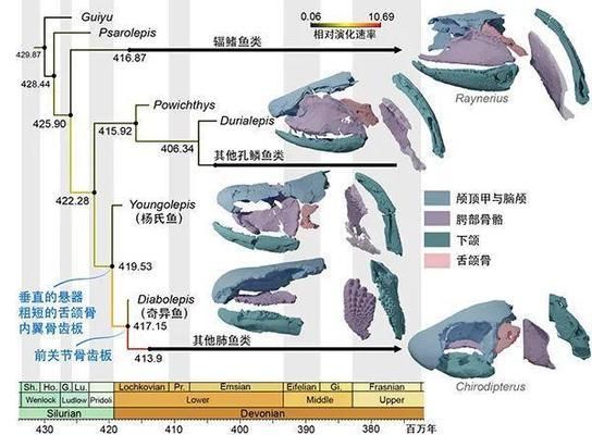 兰州金龙鱼销售有限公司招聘，兰州金龙鱼销售有限公司招聘流程 水族问答