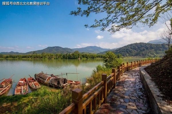 龙鱼高温还能活吗多久，龙鱼在高温下能存活多久？ 水族问答