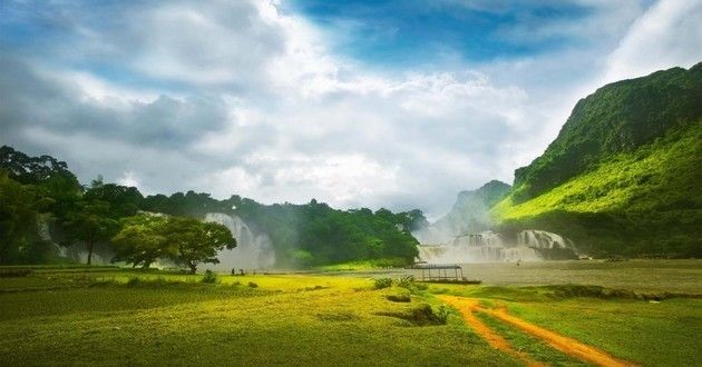 龙鱼青龙 风水，龙鱼与青龙结合的风水布局案例