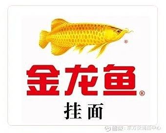 金龙鱼新产品有哪些品种，金龙鱼产品线丰富多样 龙鱼百科 第2张