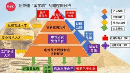 银龙鱼为什么会掉鳞片呢，如果银龙鱼掉鳞片了，我应该怎么照顾它？ 水族问答