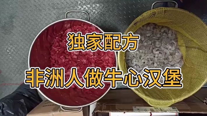 七彩神仙鱼饲料自制汉堡食谱，七彩神仙鱼饲料保存方法 观赏鱼市场（混养鱼） 第3张