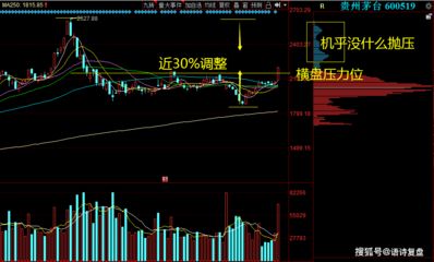 金龙鱼证券，金龙鱼（300999）上市公司相关的证券情况 龙鱼百科 第3张