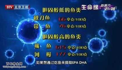 刀鱼与其他鱼类胆固醇对比，三文鱼与刀鱼的营养价值比较,如何科学地摄入鱼类胆固醇？