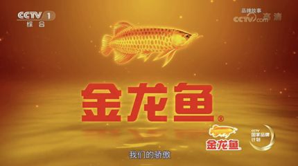 金龙鱼宣传片，金龙鱼品牌发展历程 龙鱼百科 第2张