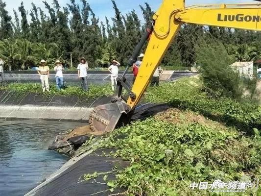 经济环境对鱼价的影响研究，研究经济环境对鱼价的影响 观赏鱼市场（混养鱼） 第5张