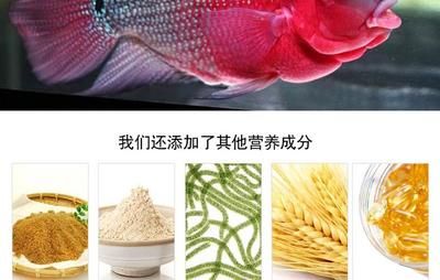 罗汉鱼饲料成分对比，常见罗汉鱼饲料品牌成分对比 观赏鱼市场（混养鱼） 第3张