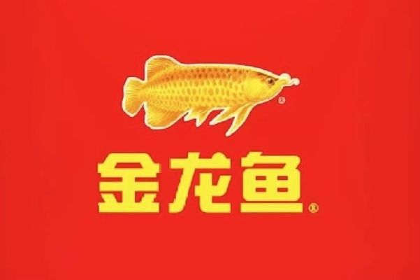 金龙鱼销售收入多少，中国领先的食品公司金龙鱼销售收入呈现稳步增长的趋势