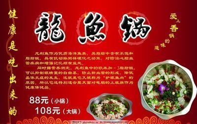 龙鱼混养如何喂食，如何确保龙鱼和混养鱼类的营养需求得到满足？ 水族问答