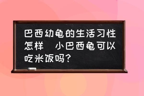 白化巴西龟生活习性研究，关于白化巴西龟的生活习性研究 观赏鱼市场（混养鱼） 第2张