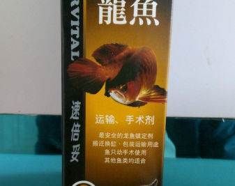 龙鱼肠炎药，龙鱼肠炎的早期症状有哪些 龙鱼百科 第5张