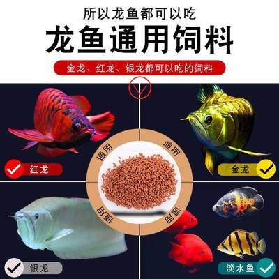 龙鱼吃啥长的快，龙鱼饲料哪种品牌好龙鱼幼鱼喂食技巧