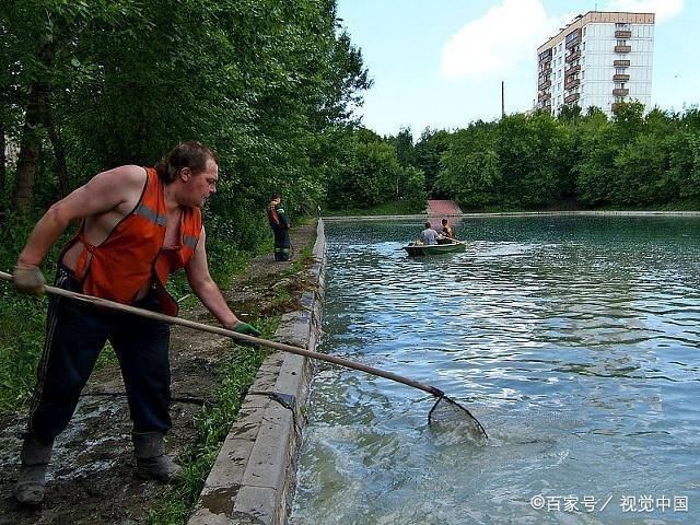 水族箱光照对鱼的影响，水族箱中的光照对鱼类的健康和生长有着多方面的影响