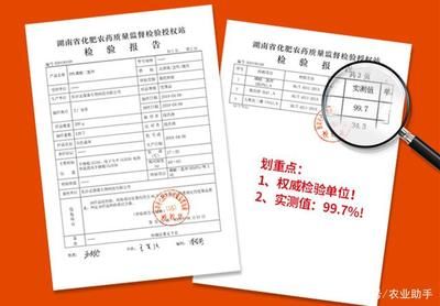 金龙鱼质检报告查询真伪怎么查，如何通过官方渠道查询金龙鱼质检报告的真伪 龙鱼百科 第3张