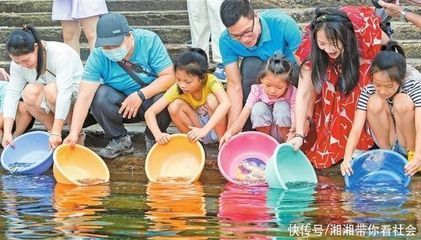 巴西鲷鱼疾病防控措施，巴西鲷鱼常见病害有哪些