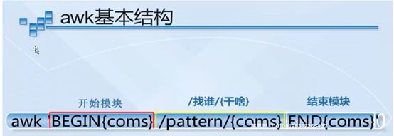 文本三剑客的实际应用案例，文本三剑客在linux下的应用 观赏鱼市场（混养鱼） 第2张