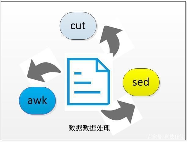 sed命令结合awk处理数据，sed与awk在大数据处理中的应用 观赏鱼市场（混养鱼） 第2张