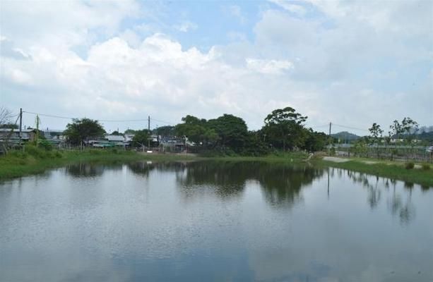 红头利鱼水温控制技巧，红头利鱼水温控制技巧介绍 观赏鱼市场（混养鱼） 第5张