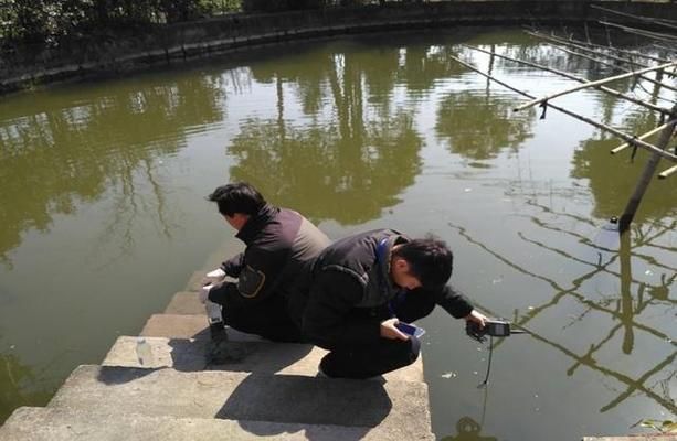 红头利鱼水温控制技巧，红头利鱼水温控制技巧介绍 观赏鱼市场（混养鱼） 第4张