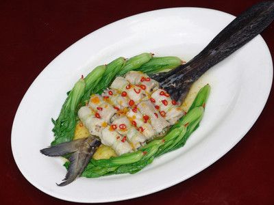 鸭嘴鱼的饮食习惯探究（鸭嘴鱼的饮食习惯） 观赏鱼市场（混养鱼） 第4张