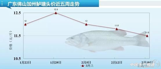 柠檬鲫饲料配比建议（柠檬鲫饲料成本控制技巧） 观赏鱼市场（混养鱼） 第3张