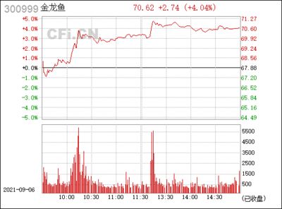 金龙鱼价格今日行情走势分析（金龙鱼股价波动原因波动原因金龙鱼股价波动原因） 龙鱼百科 第2张