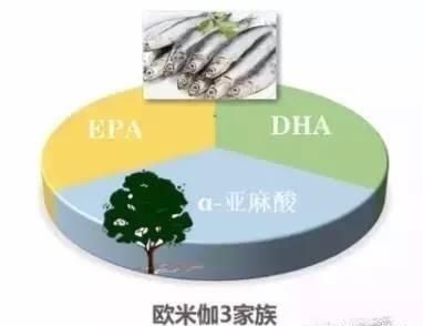 肺鱼欧米伽3脂肪酸的保健功效（欧米伽3脂肪酸：肺部健康的关键，一项研究显示，） 观赏鱼市场（混养鱼） 第4张