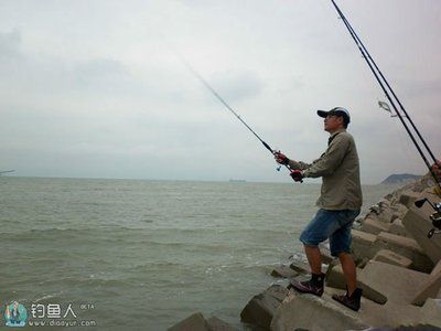 钓鱼专家在线咨询平台（寻找钓鱼专家在线咨询平台） 观赏鱼市场（混养鱼） 第1张