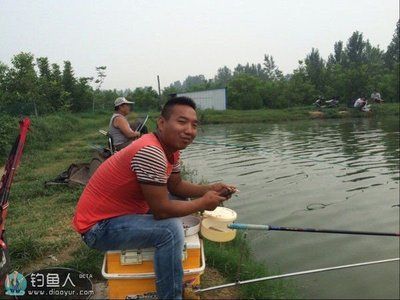 钓鱼专家在线咨询平台（寻找钓鱼专家在线咨询平台） 观赏鱼市场（混养鱼） 第2张