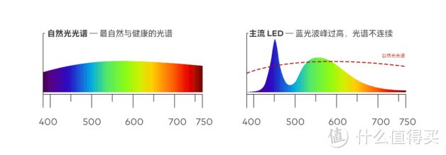 LED灯对鱼健康的具体影响（led灯对鱼健康的影响） 观赏鱼市场（混养鱼） 第2张