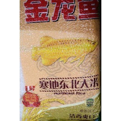 金龙鱼活饵与冷冻饵区别（如何判断金龙鱼喜欢哪种饵料） 观赏鱼市场（混养鱼） 第2张