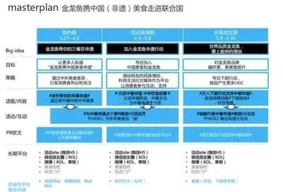 金龙鱼营销案例分析ppt（金龙鱼品牌营销案例分析） 龙鱼百科 第3张