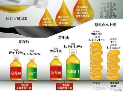 金龙鱼营销案例分析ppt（金龙鱼品牌营销案例分析） 龙鱼百科 第1张